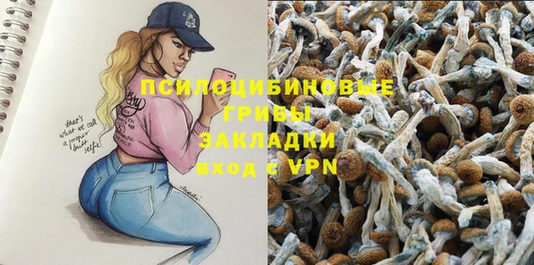 первитин Россошь