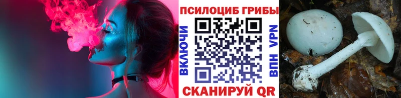 где купить наркоту  Нягань  Галлюциногенные грибы Psilocybine cubensis 